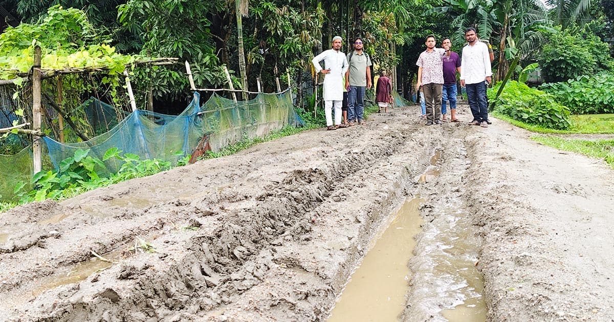 জাফলংয়ের সেই সড়ক পরিদর্শনে ইউএনও
