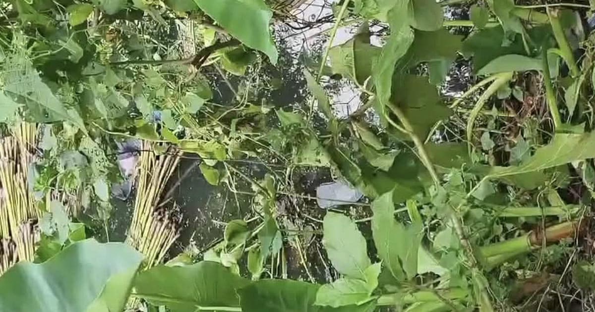 পরিত্যাক্ত পুকুর থেকে যুবকের মরদেহ উদ্ধার