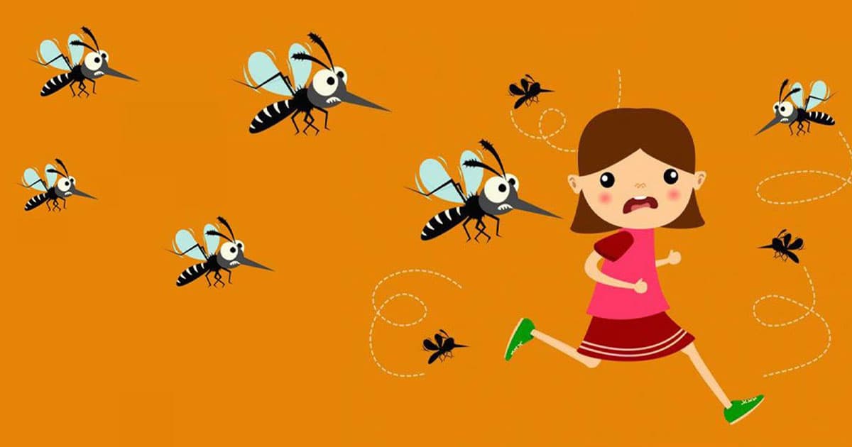 ডেঙ্গু নাকি সাধারণ জ্বর? লক্ষণ বুঝবেন যেভাবে