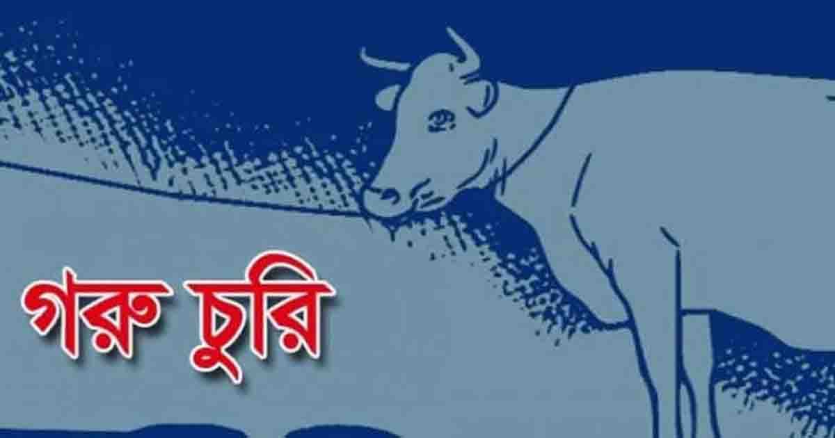 ডোমারে ঝড়-বৃষ্টির সুযোগে  ঘর থেকে ৭ গরু নিয়ে গেল চোর