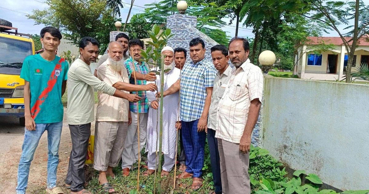 ছাতকে বৃক্ষরোপণ কর্মসূচির উদ্বোধন