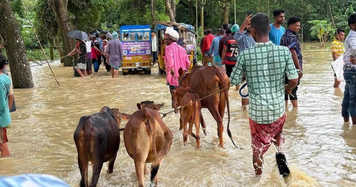 ভয়াবহ রূপ নিয়েছে খোয়াই নদী