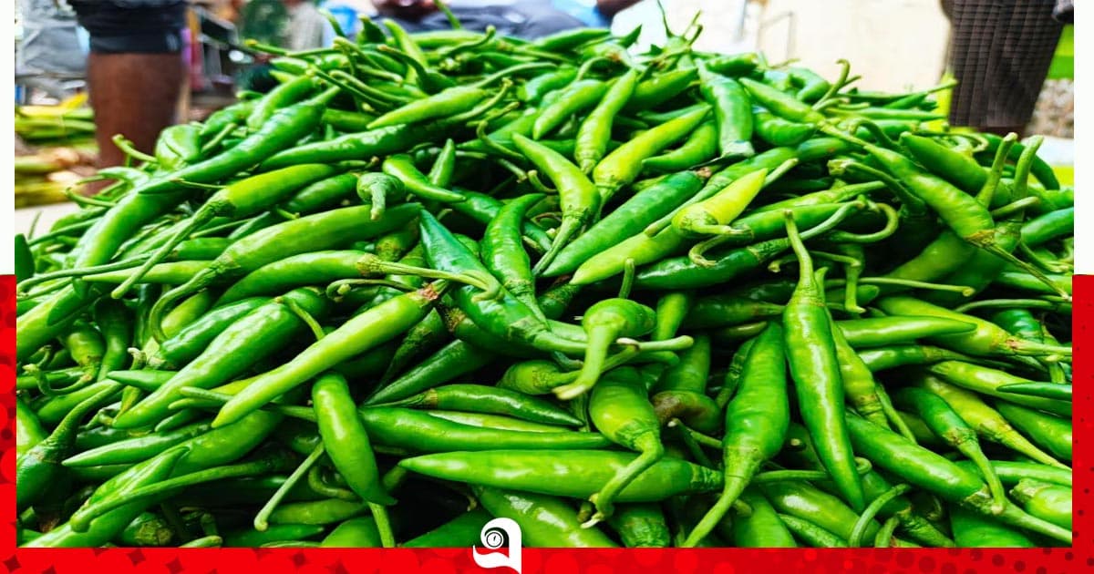 মরিচের ঝাল এখন দামে