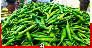 মরিচের ঝাল এখন দামে