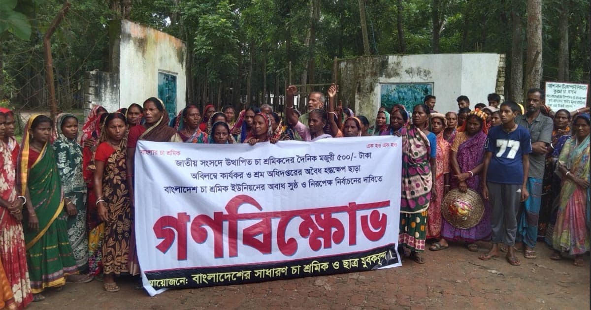 চা শ্রমিকদের মজুরি ও নির্বাচনের দাবিতে বিক্ষোভ