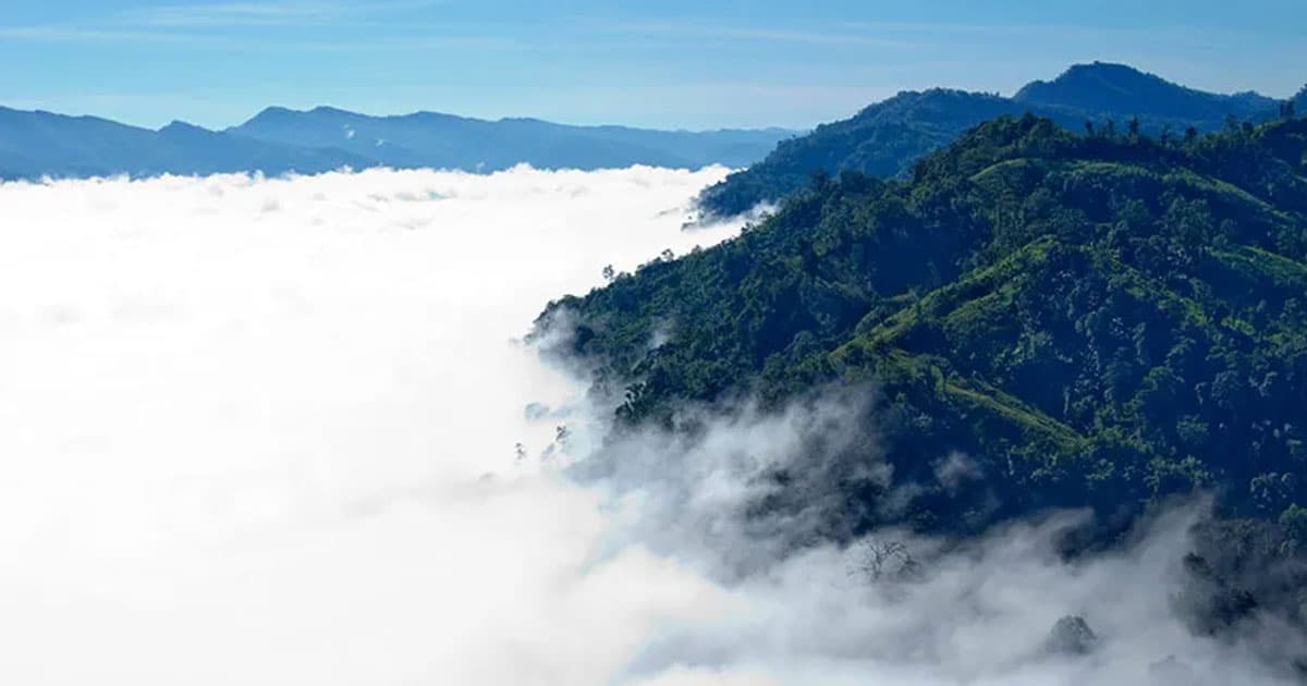 সিপ্পিপাড়ার মোরগঝুঁটি