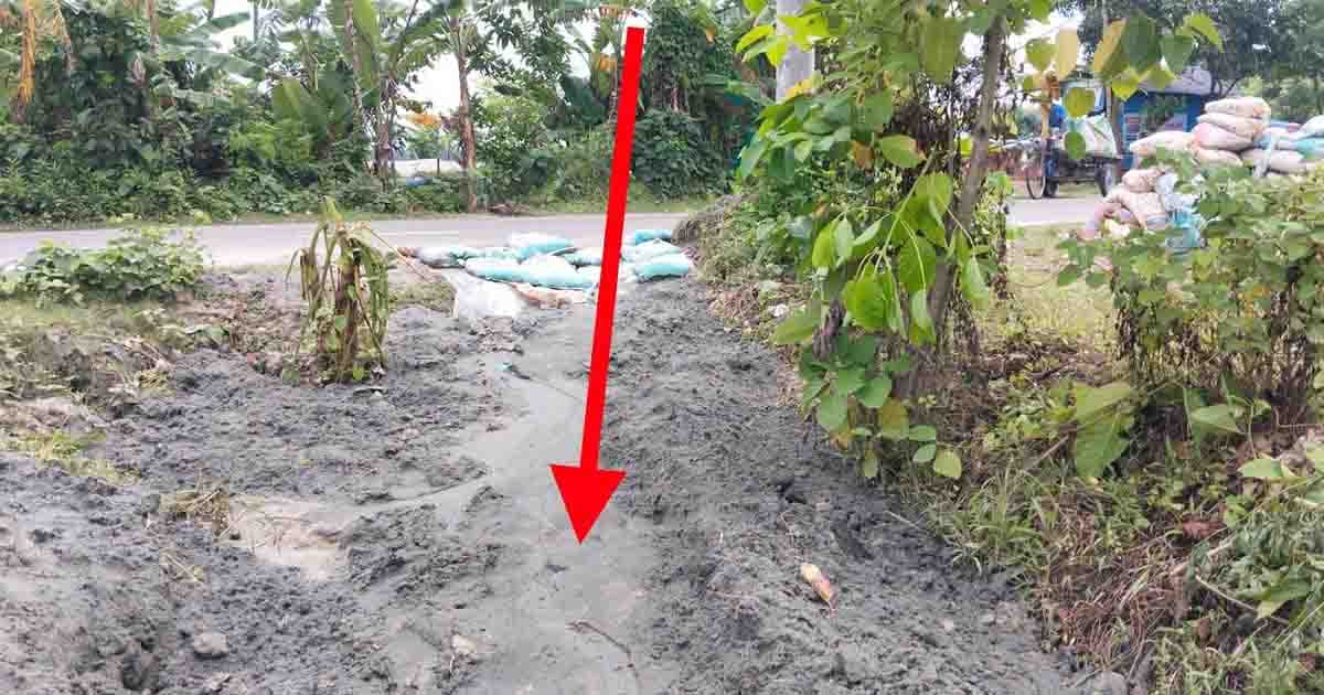 নলছিটিতে সড়ক খুঁড়ে সুড়ঙ্গে ড্রেজারের অবৈধ পাইপ