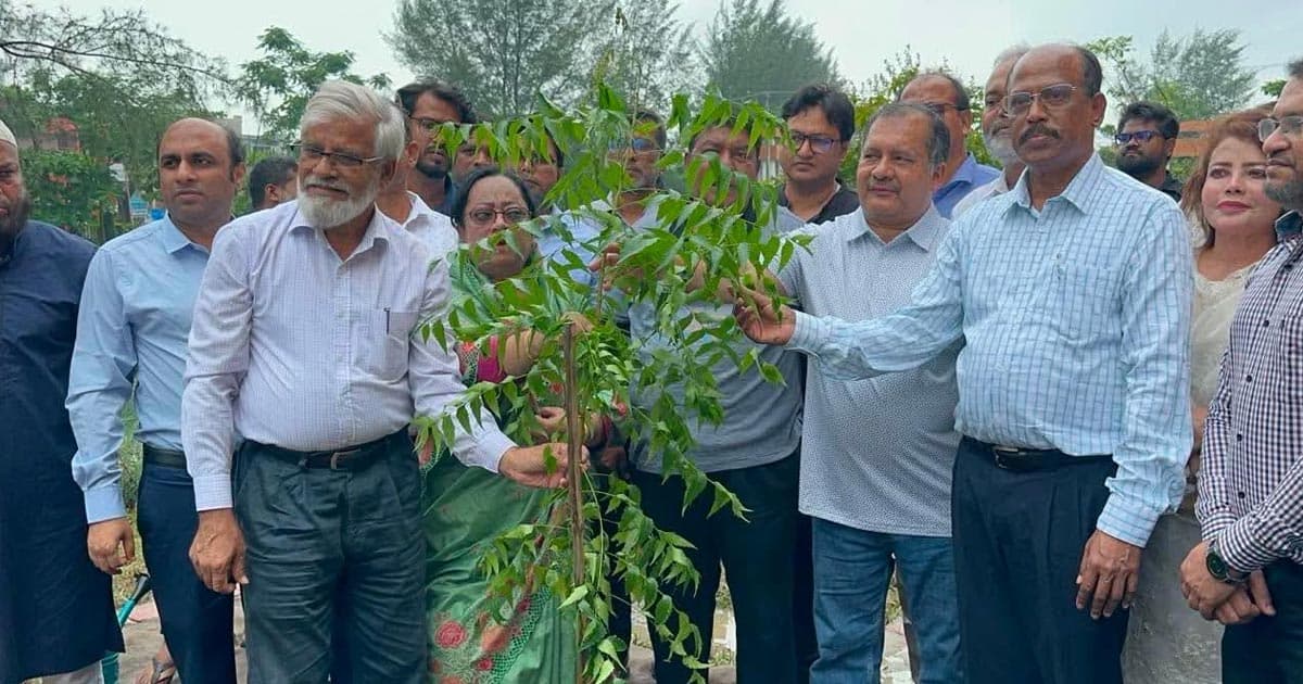 শহীদ জিয়ার শাহাদাৎ বার্ষিকীতে ববিতে বৃক্ষরোপণ কর্মসূচি