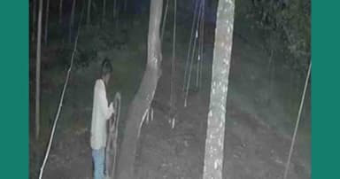 সিসিটিভিতে রশি হাতে গাছে ওঠার দৃশ্য, দুপুরে মিলল কৃষকের ঝুলন্ত মরদেহ