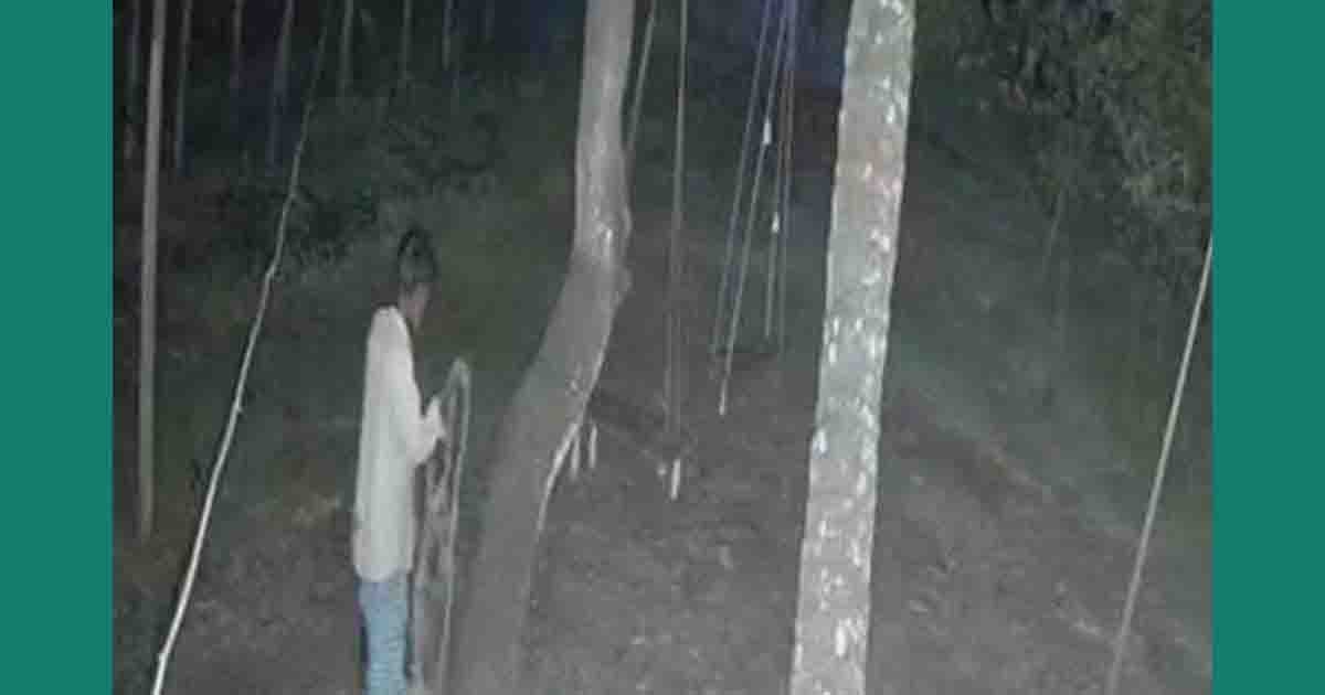 সিসিটিভিতে রশি হাতে গাছে ওঠার দৃশ্য, দুপুরে মিলল কৃষকের ঝুলন্ত মরদেহ