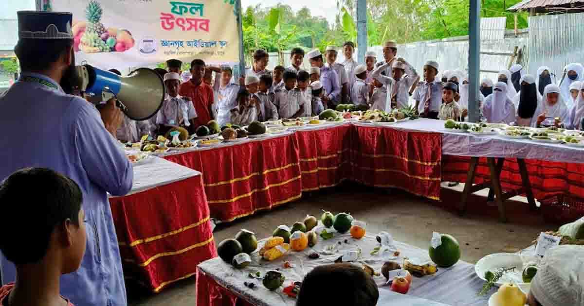 গঙ্গাচড়ায় জ্ঞানগৃহ আইডিয়াল স্কুলে ফল উৎসব