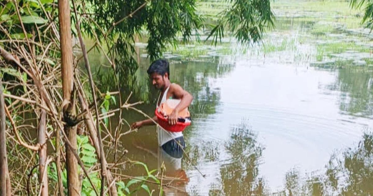 বড়লেখায় বন্যা পরিস্থিতির উন্নতি