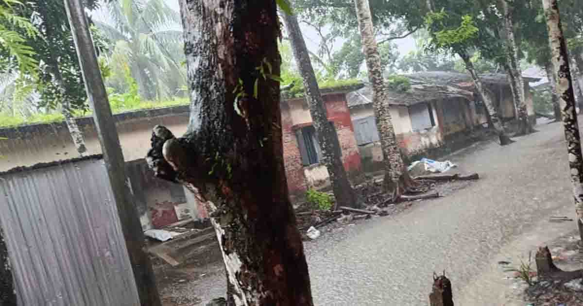 টানা সাত দিনের বৃষ্টিতে ডুবল দশমিনা, ৩ নম্বর সতর্ক সংকেত