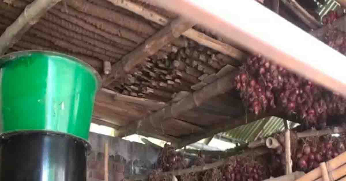 বেশি দামের আশায় মজুত, পচে নষ্ট পেঁয়াজে দিশেহারা পাবনার কৃষক