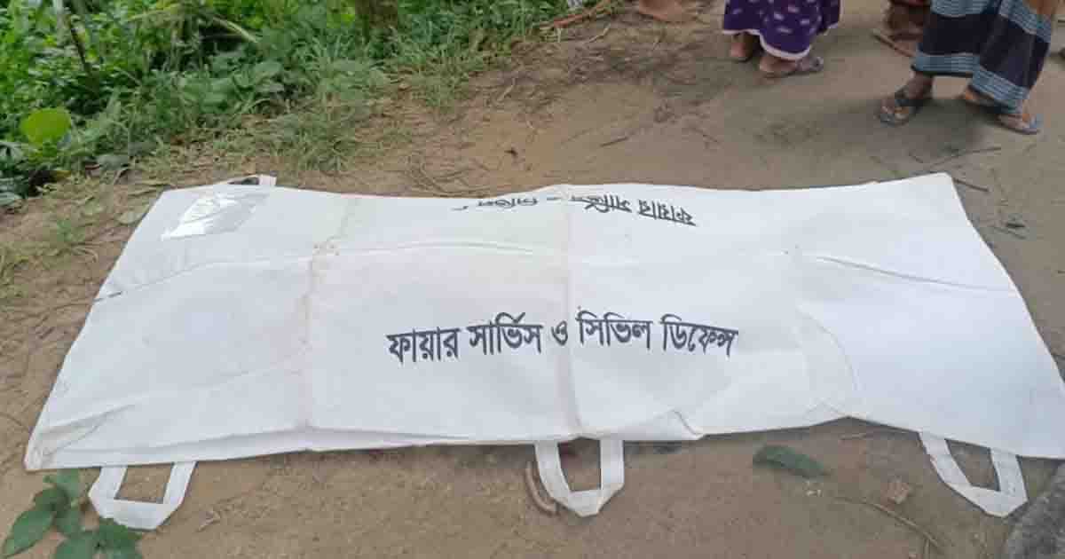 বীরগঞ্জে পিকআপের ধাক্কায় মা-ছেলে নিহত