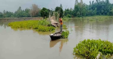 বিরামপুরে বাঁশের সাঁকো ভেসে যাওয়ায় চলাচলে দূর্ভোগ