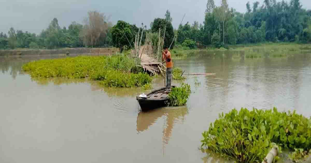বিরামপুরে বাঁশের সাঁকো ভেসে যাওয়ায় চলাচলে দূর্ভোগ