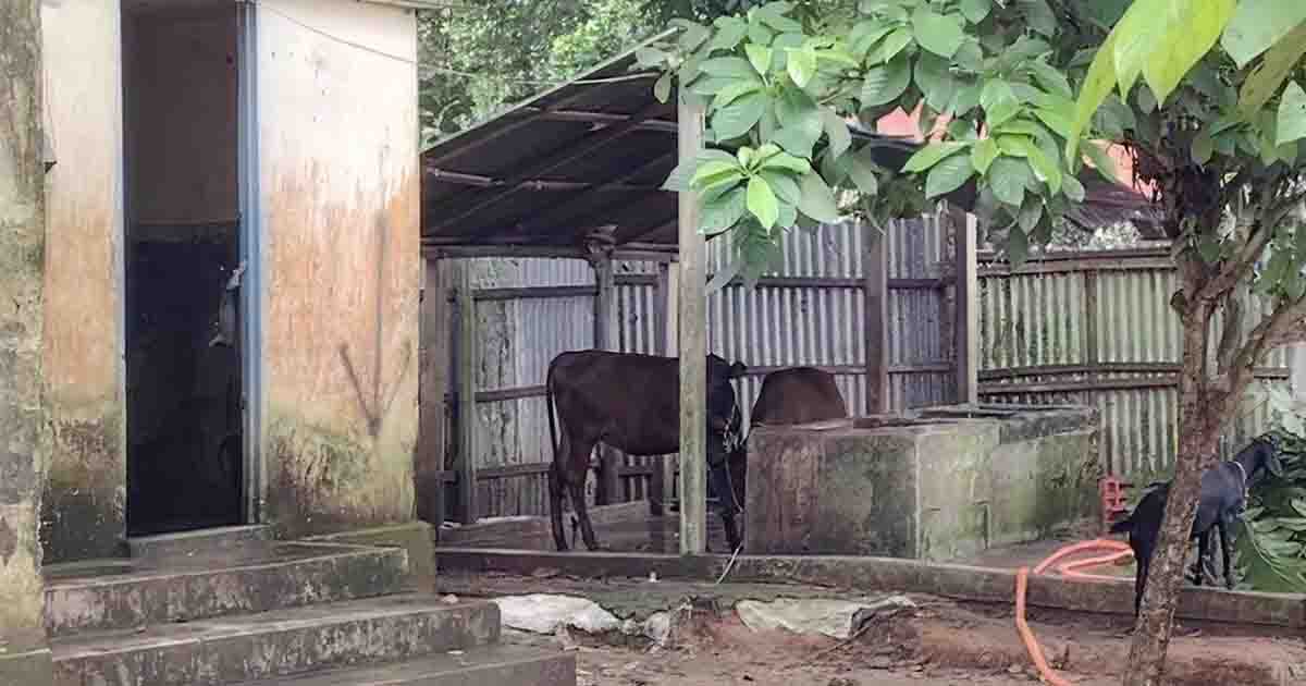 তিতাস গ্যাসের অধিগ্রহণকৃত জমি দখল ও স্থাপনা নির্মাণের অভিযোগ