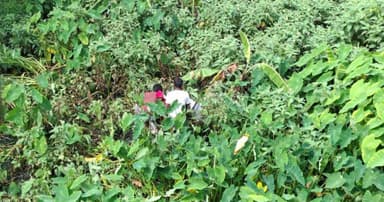 সখীপুরে নিখোঁজের দুইদিন পর নারীর মরদেহ উদ্ধার