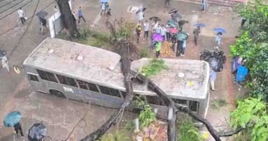 টানা বৃষ্টিতে জবি ক্যাম্পাসে বাসের ওপর উপড়ে পড়ল গাছ