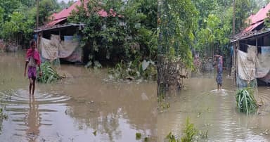বন্যার পানি নামলেও খাদ্য ও বিশুদ্ধ পানির তীব্র সংকট, বিপর্যস্ত জনজীবন