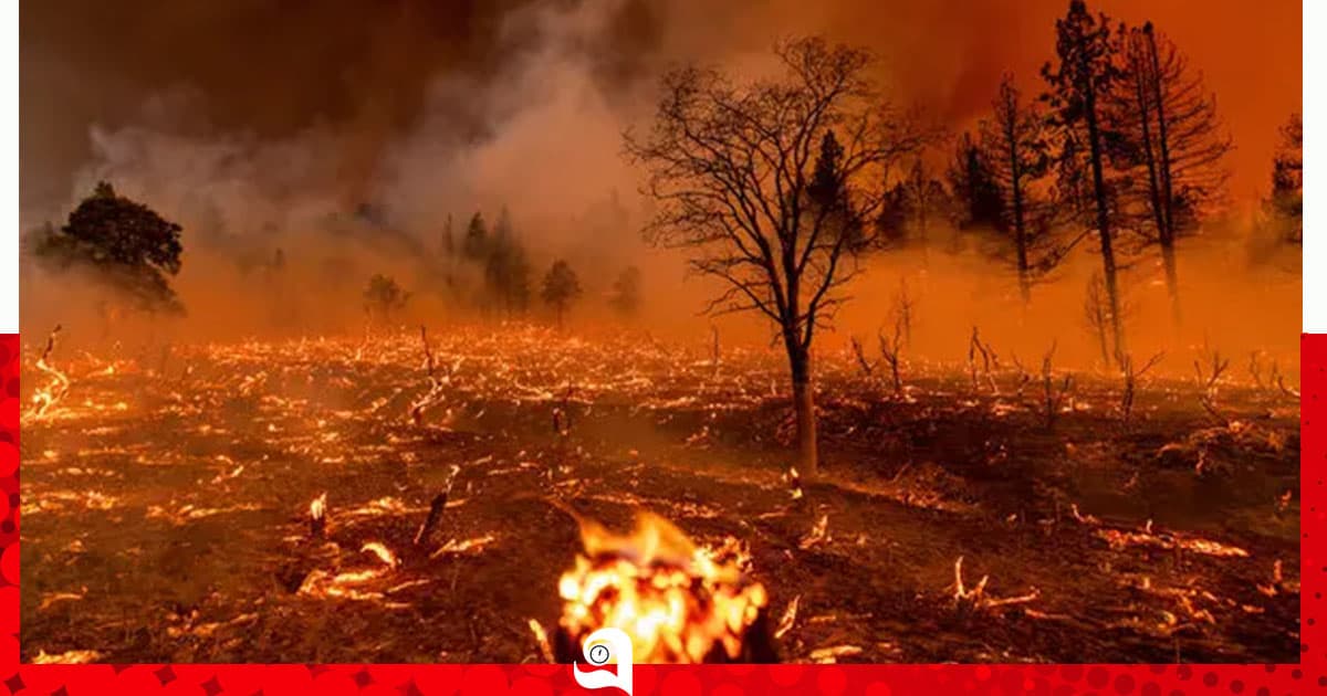 তাপপ্রবাহে পরিস্থিতি সংকটাপন্ন