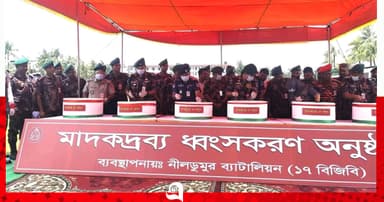 নীলডুমুরে বিজিবি’র আটককৃত মাদকদ্রব্য ধ্বংস