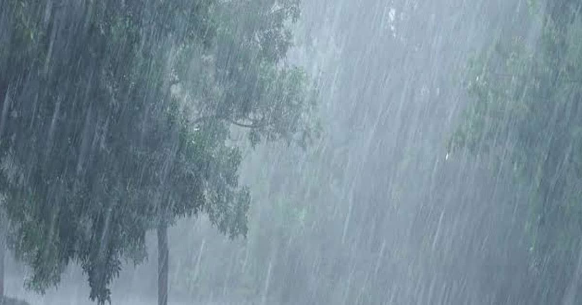 বর্ষায় ব্যাগে রাখুন প্রয়োজনীয় ৫ সামগ্রী