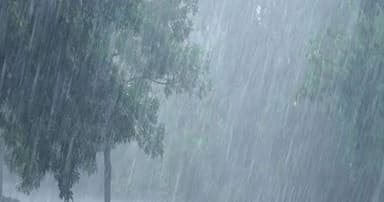 বর্ষায় ব্যাগে রাখুন প্রয়োজনীয় ৫ সামগ্রী