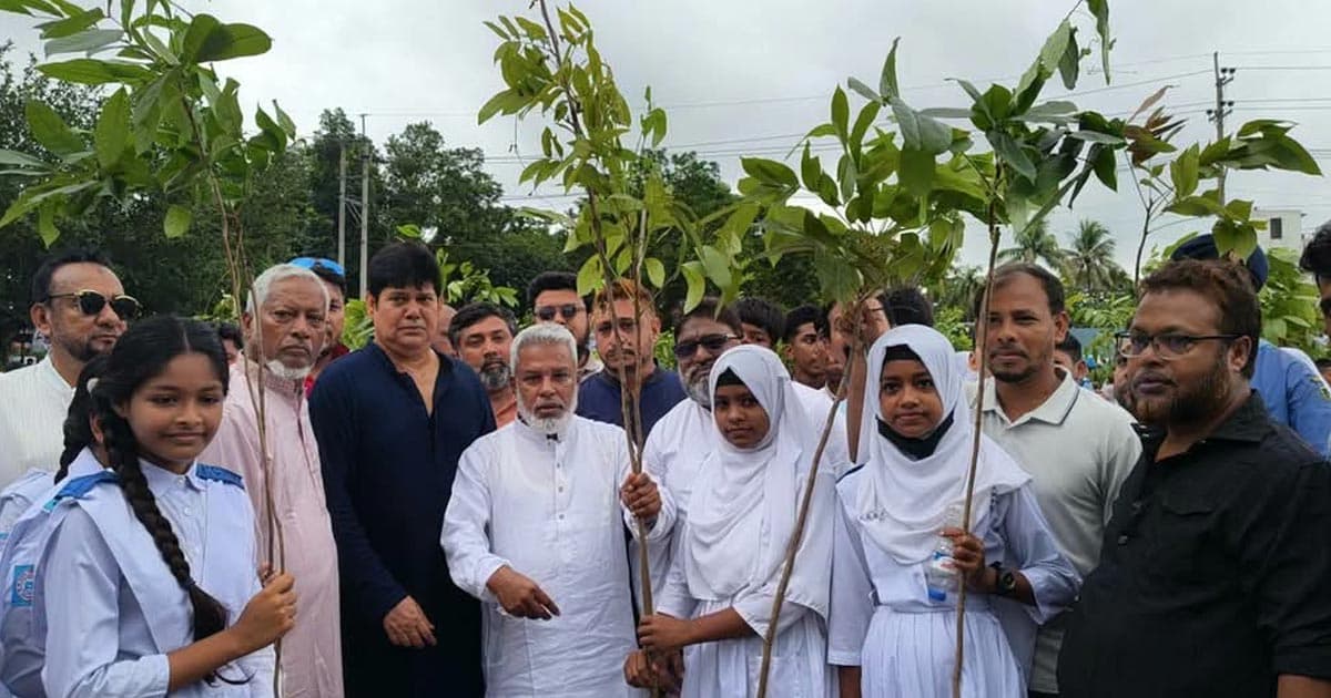 সোনারগাঁয়ে ১৯ হাজার ৩২০টি গাছের চারা বিতরণ