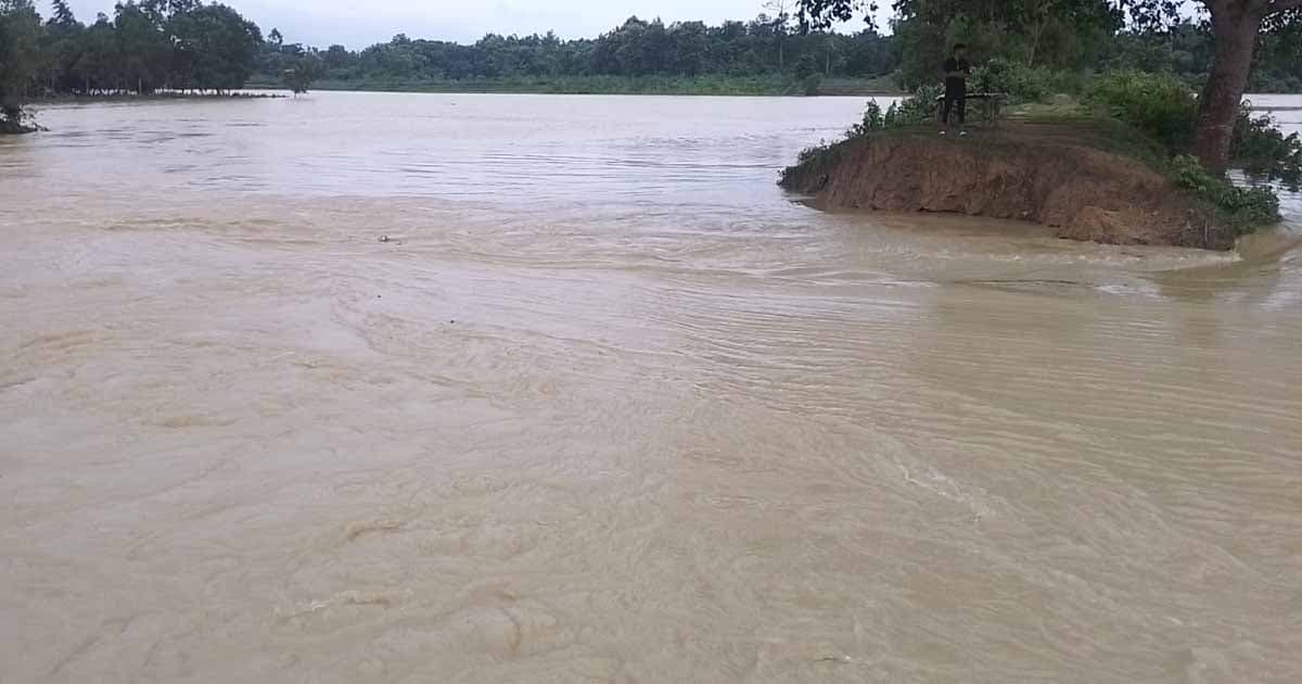 কুলাউড়ায় বাঁধ ভেঙে প্লাবিত বিস্তীর্ণ এলাকা