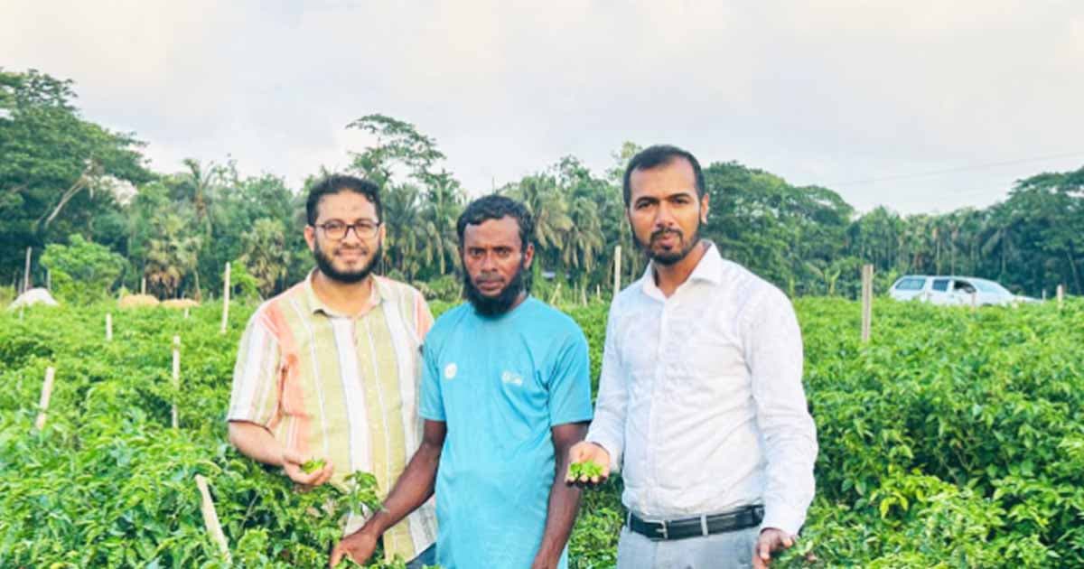 'বোম্বাই মরিচ' চাষে ভাগ্য বদল রহিমের
