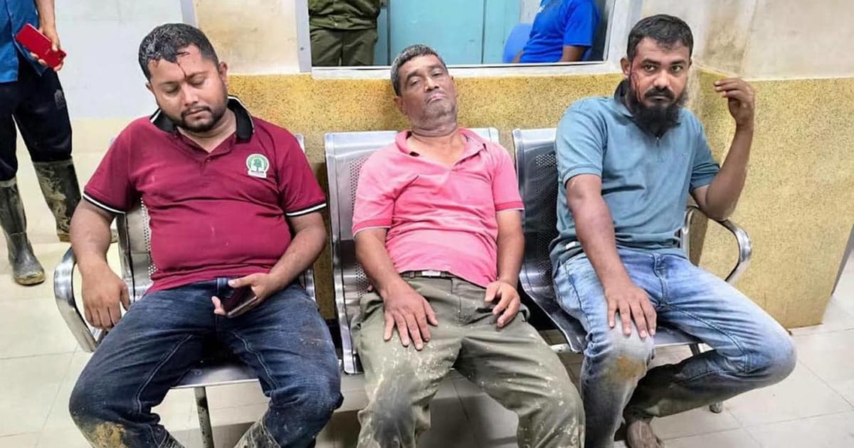 সংরক্ষিত বনে পানের বরজ, বনকর্মীদের ওপর হামলা