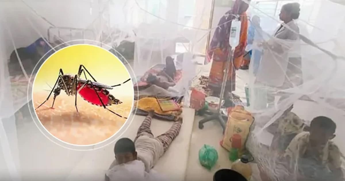 ডেঙ্গু-হামের সংক্রমণ বাড়ছেই