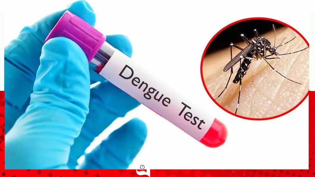 ডেঙ্গুতে আরও মৃত্যু ৩