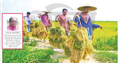 প্রসঙ্গ কৃষি খাত