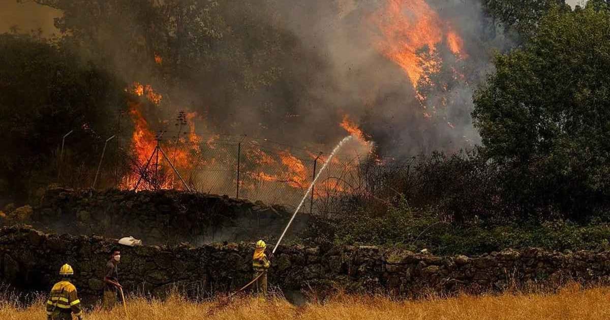 ফ্রান্স-স্পেনে ভয়াবহ দাবানল, গৃহহীন দুই লাখের বেশি মানুষ