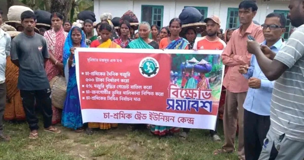 মজুরি ৫০০ টাকা নির্ধারণের দাবিতে চা শ্রমিকদের কর্মবিরতি ও বিক্ষোভ
