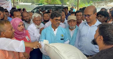 বন্যায় ক্ষতিগ্রস্ত ডেইরি খামারিদের মাঝে গোখাদ্য বিতরণ