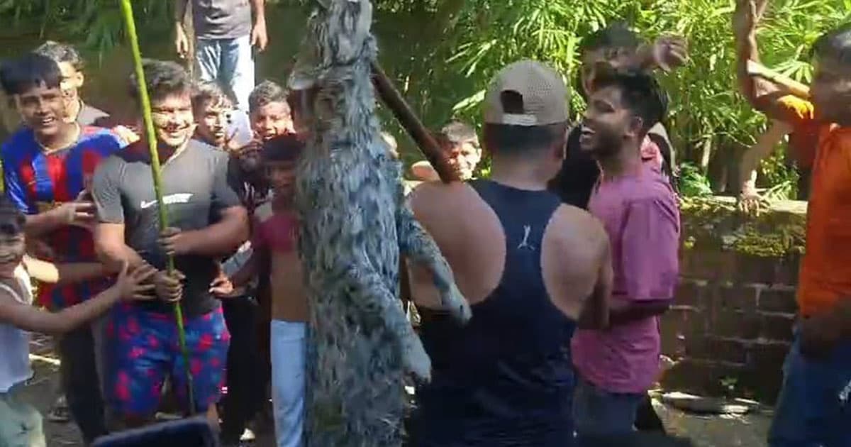 জগন্নাথপুরে মেছো বাঘ পিটিয়ে হত্যা