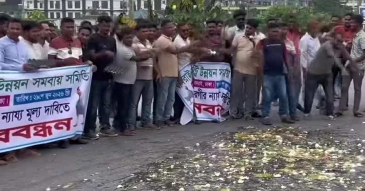 ঢাকা-আরিচা মহাসড়কে ডিম ভেঙে খামারিদের প্রতিবাদ