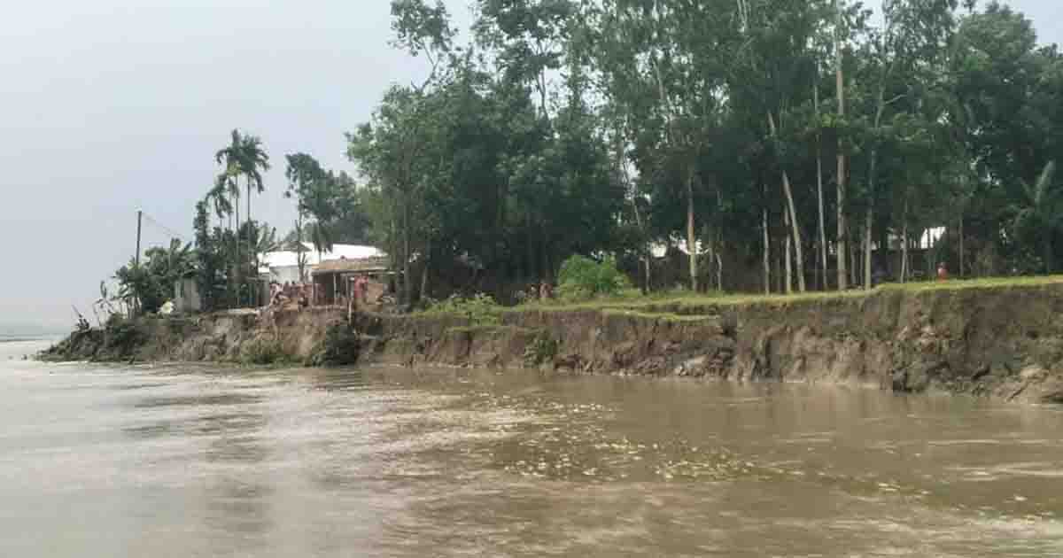 ব্রহ্মপুত্রের ভাঙনে কুড়িগ্রামে গৃহহীন ৩০ পরিবার, ঝুঁকিতে শতাধিক