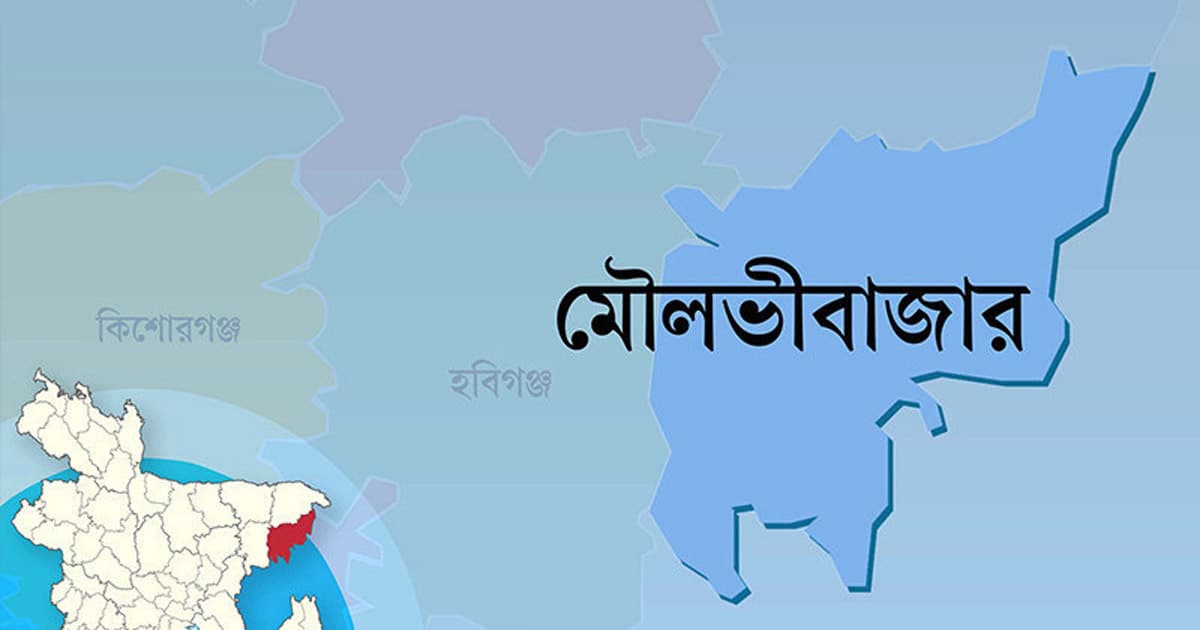 প্রবাসীর মায়ের দেড় লাখ টাকা ছিনতাই