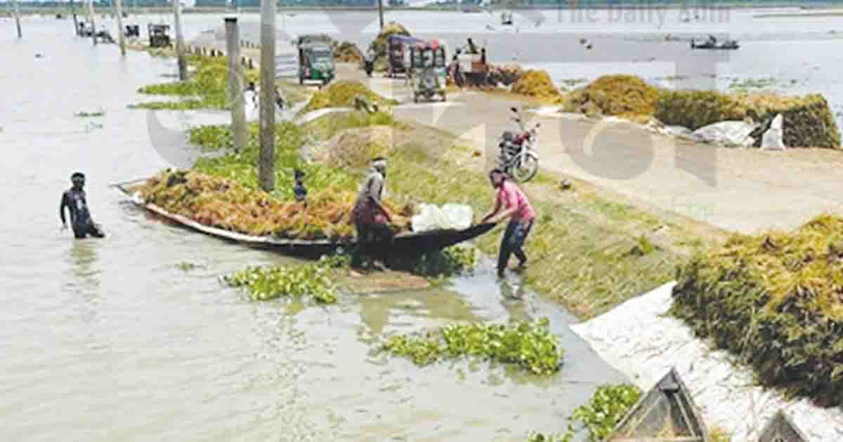 হাওর বাঁচলেই ভবিষ্যৎ বাঁচবে