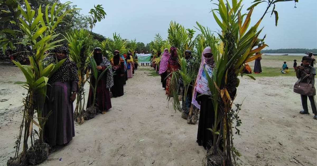 শ্যামনগরে নারীদের মাঝে লবণ সহিষ্ণু গাছ বিতরণ