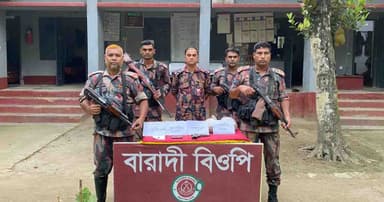 বিদ্যালয়ের মাঠ দখল করে গাছ কাটার অভিযোগ