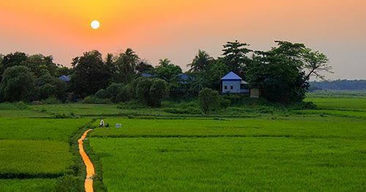 হারিয়ে যাচ্ছে হাওরাঞ্চলের গ্রামীণ সৌন্দর্য