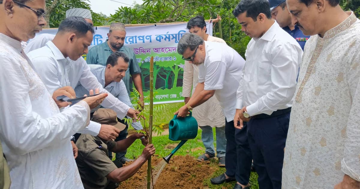 বড়লেখায় বৃক্ষরোপণ কর্মসূচির উদ্বোধন