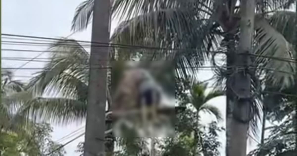 পতাকা টানাতে গিয়ে বিদ্যুৎস্পৃষ্ট কিশোর, গুরুতর আহত