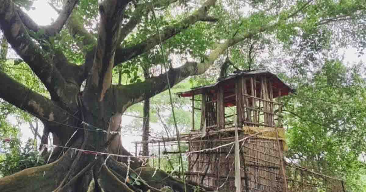 দোয়ারাবাজারে কবরস্থানে কথিত পীরের আস্তানা, বসছে মাদকের আসর!